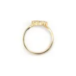 Memoire Ring Gelbgold 1 Karat