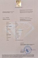 Granat Vintage Ring mit Fancy Diamanten