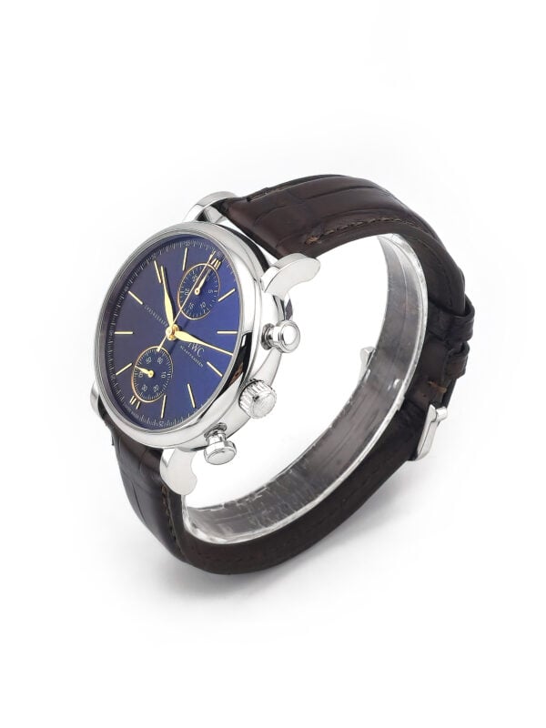 IWC Portofino Chrono 39 mm IW391404 Full Set (5)
