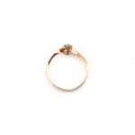 Antiker „Toi et Moi“ Rubin Diamant Ring um 1910