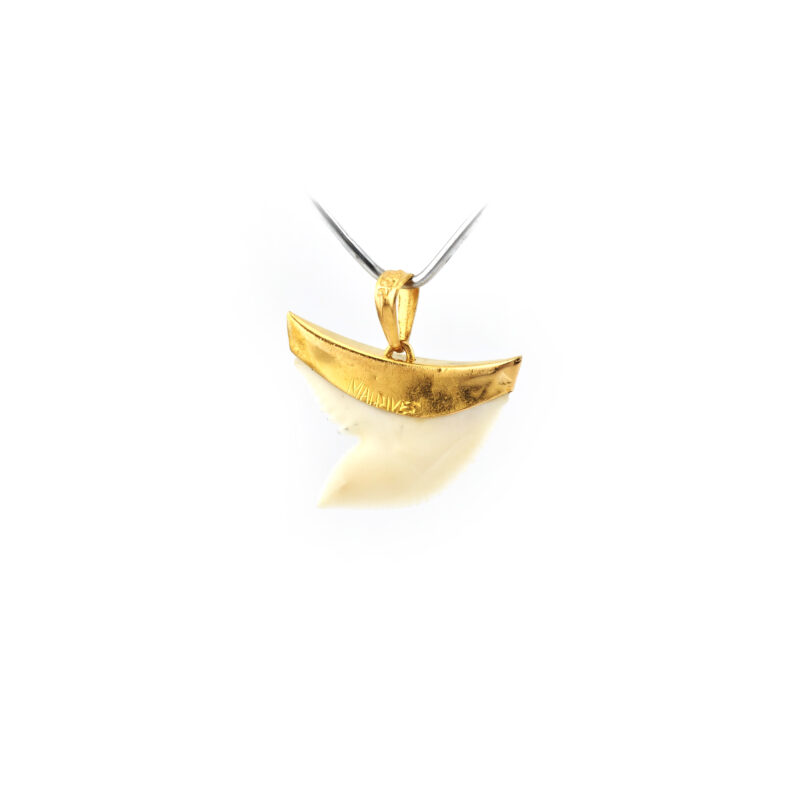 Haifischzahn Anhänger scharf in 916er Gold gefasst 3 Haifischzahn Anhänger scharf in 916er Gold gefasst