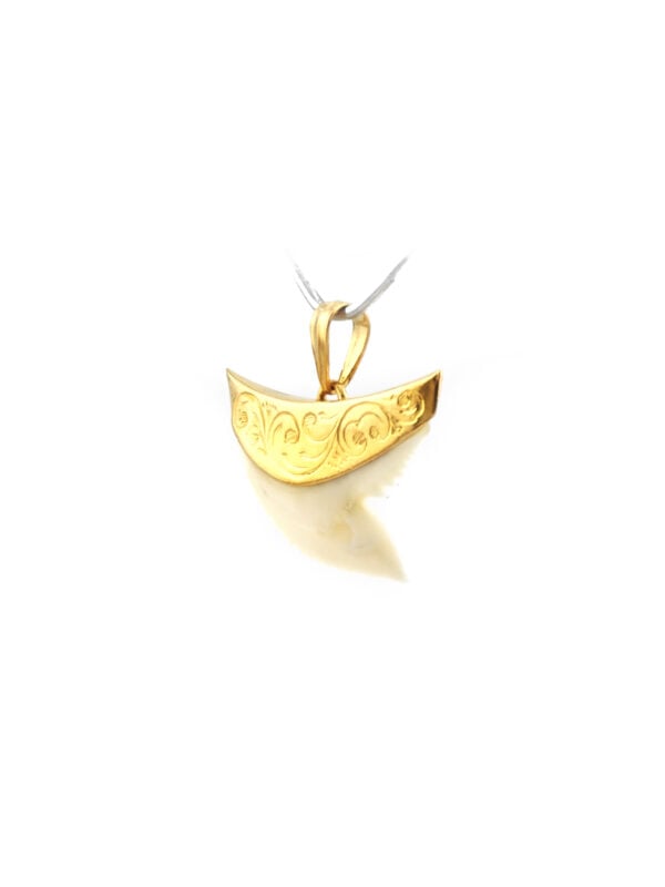 Haifischzahn Anhänger scharf in 916er Gold gefasst (4)