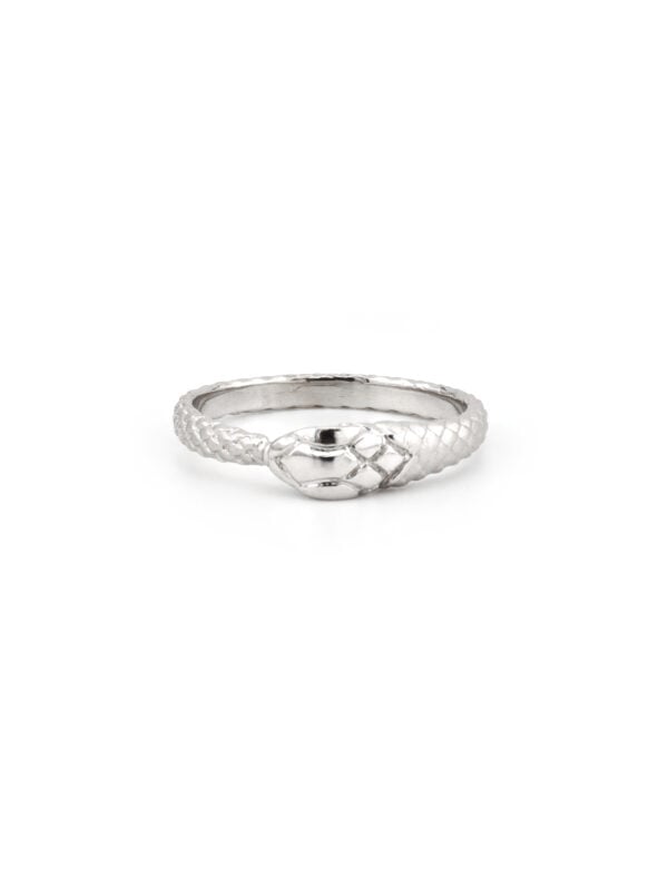 Schlangenring mit Rubin Augen 585er Gold (5)