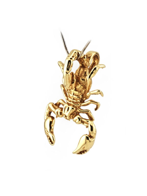 Skorpion Anhänger 3D massiv 585er Gold (4)